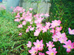 2004年09月11日撮影