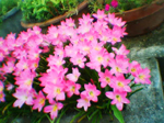 2004年09月11日撮影