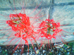 2004年09月19日撮影