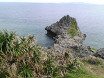 2005N0129Be
