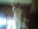 2005N0205Be