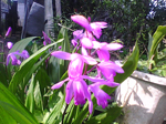 2005N0306Be