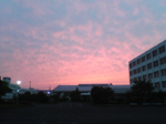 2005N0524Be