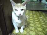 2005N0802Be