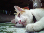 2005N0802Be
