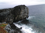 2005N0806Be