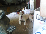 2005N0813Be