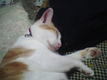 2005N0816Be