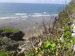 2005N0822Be
