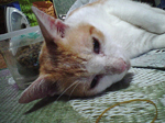 2005N0901Be