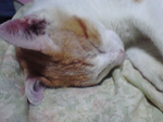 2005N0904Be