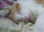 2005N0904Be