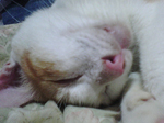 2005N0904Be