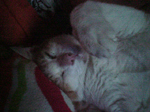 2005N0907Be