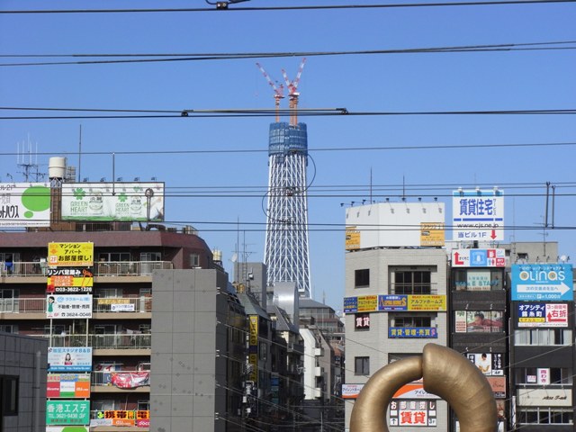 2010�N2���i�������ю����w�j