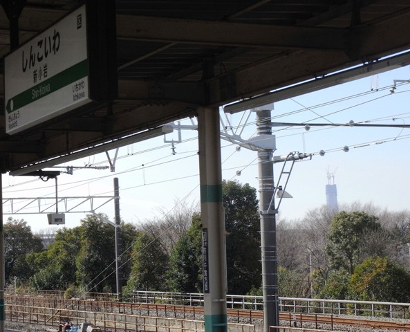 2010�N2���i�������V����w�j