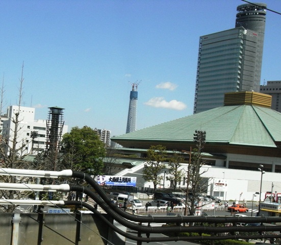 2010�N3���i�����������w�j