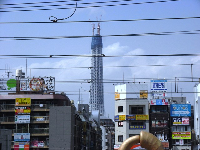 2010�N4���i�������ю����w�j