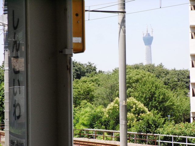 2010�N7���i�������V����w�j