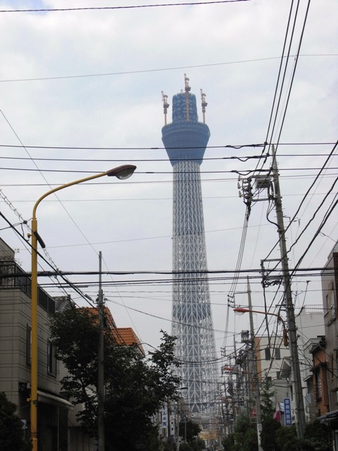 2010�N8���i�ю����j