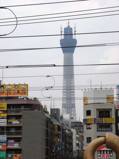 2010�N8���i�������ю����w�j