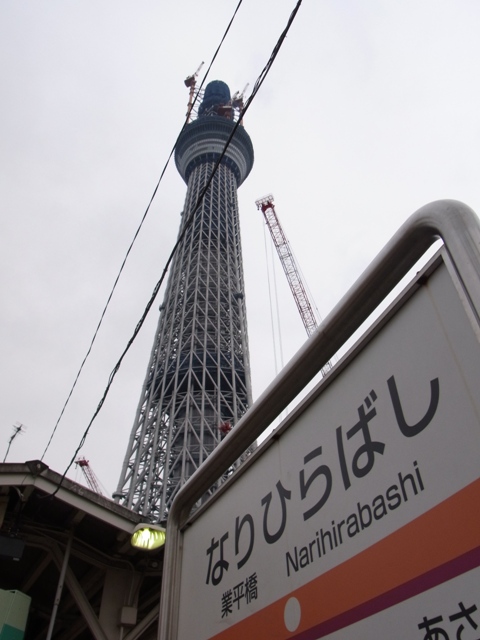 2010�N10���i497m�j