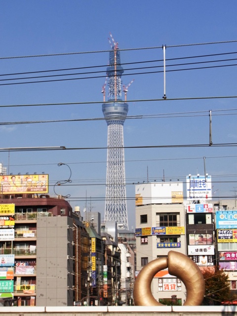 2010�N12���i�������ю����w�j