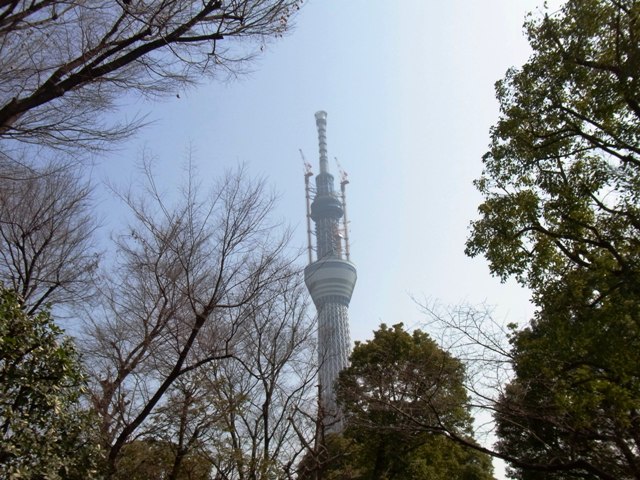 2011�N2���q���c�����r