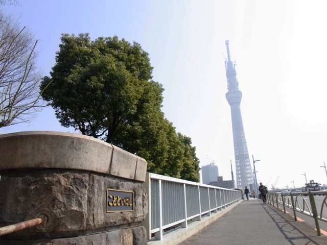 2011�N2���q���⋴�r