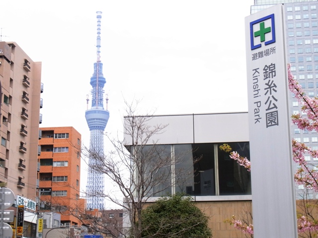 2011�N3���i�ю������j