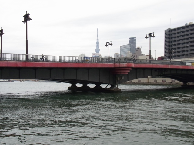 2011�N12��������