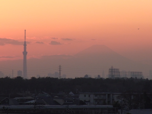 2011�N12������s��