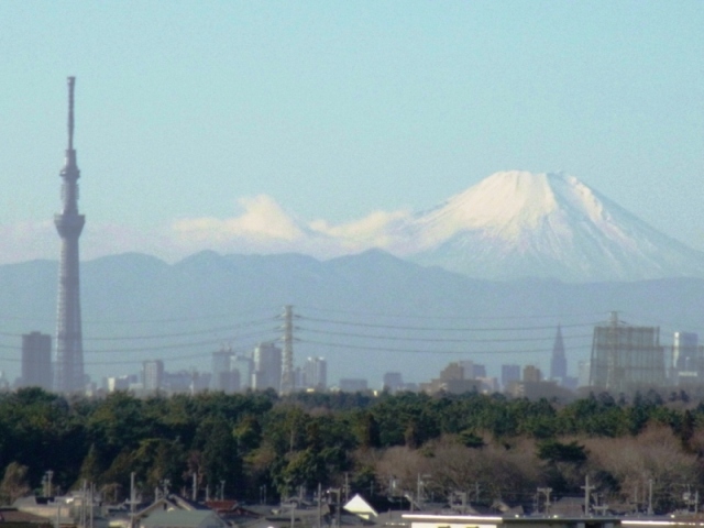 2011�N12���V�����J