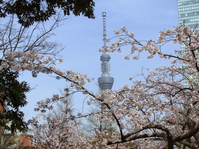 2012�N4���ю�����