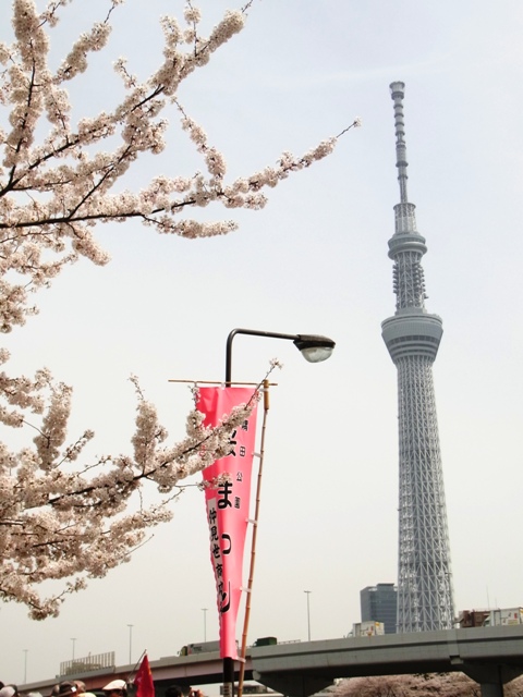 2012�N4���n�c����