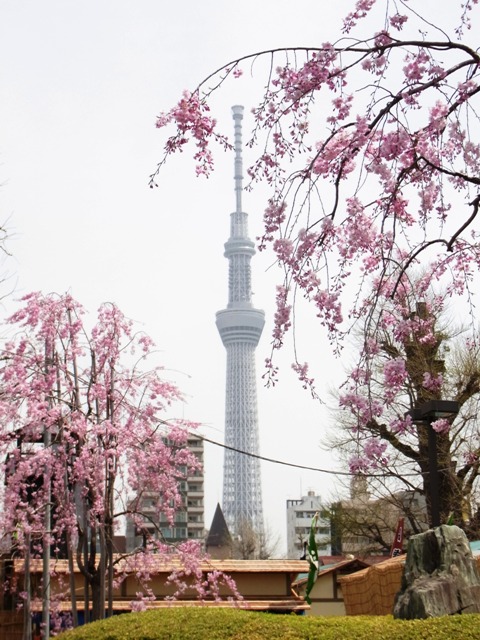 2012�N4���󑐎�