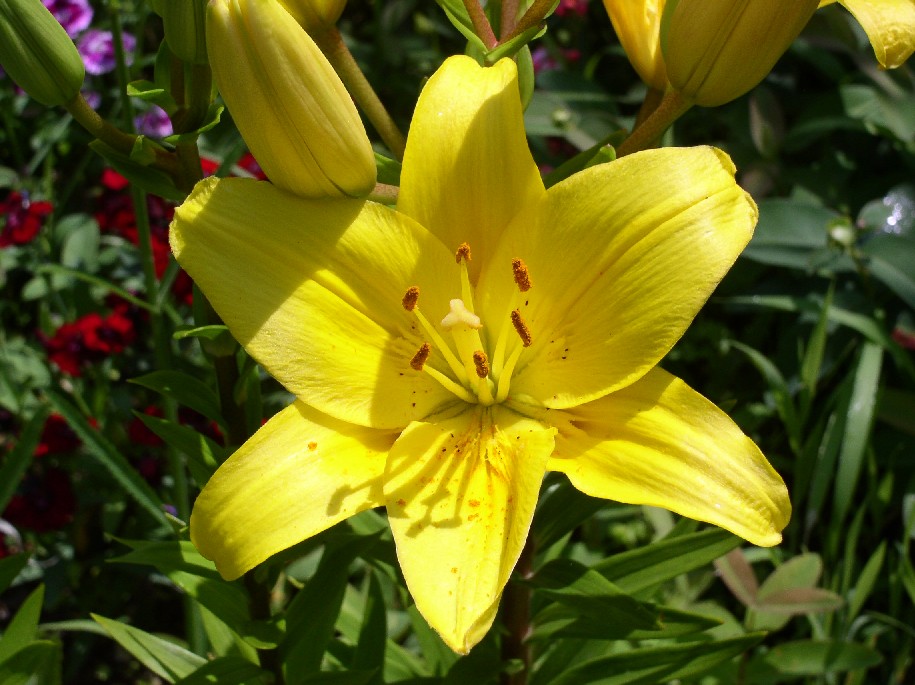 ������A���f���Z��������