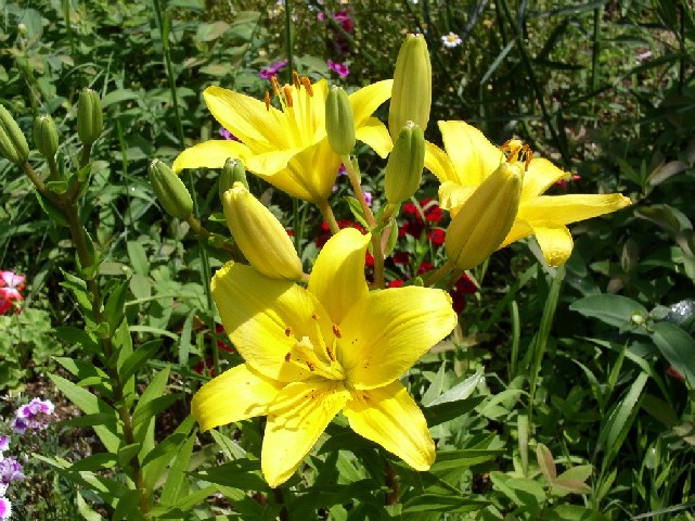 ������A���f���Z��������