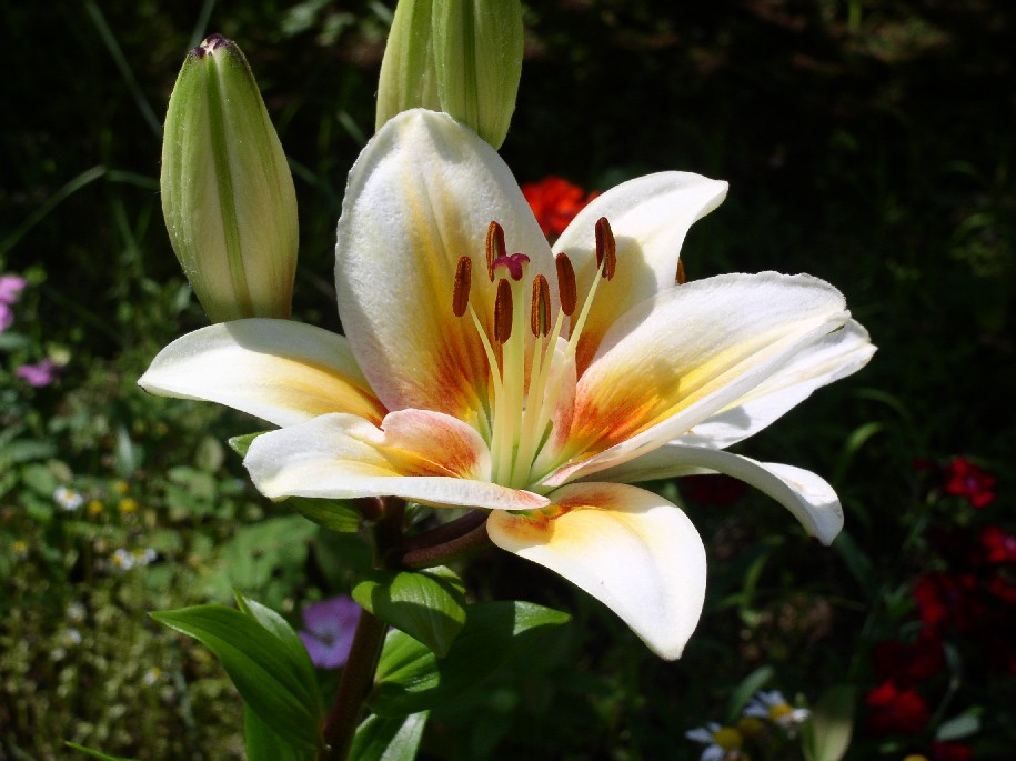 ������A���f���Z��������