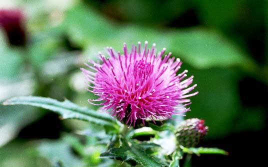 �A�U�~�Ꭹ���