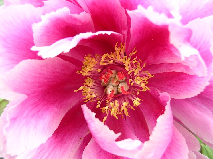 �{�^����ŎR�m������