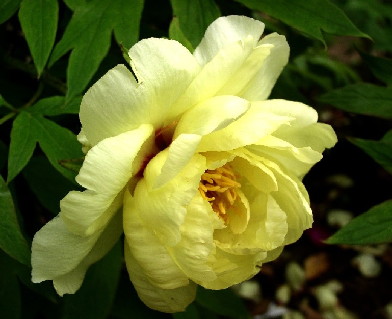 �{�^����ŎR�m������