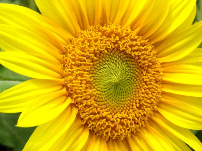 �q�}�����ᔒ��s����