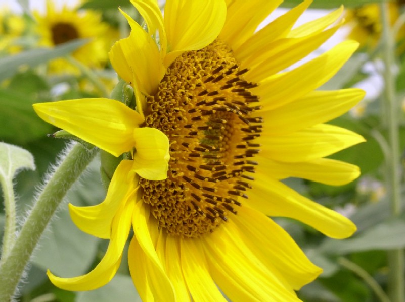 �q�}�����ᔒ��s����