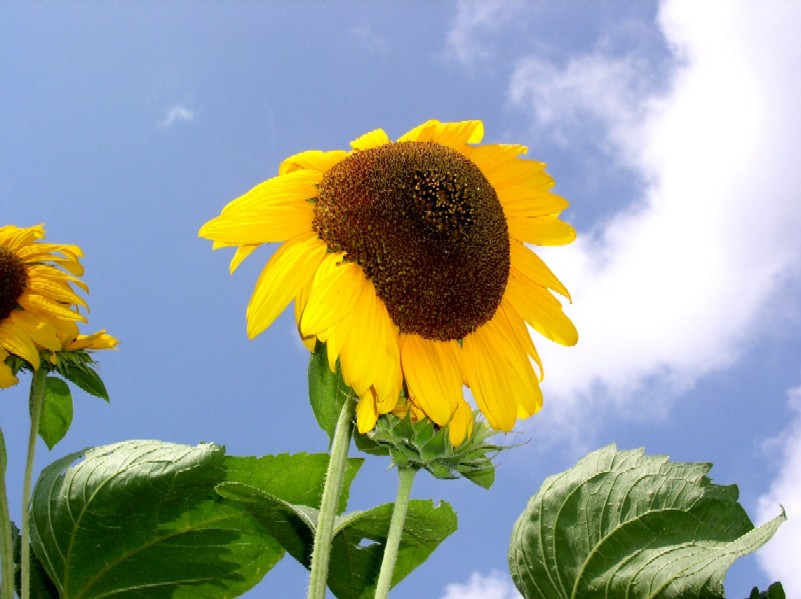 �q�}�����ᔒ��s����