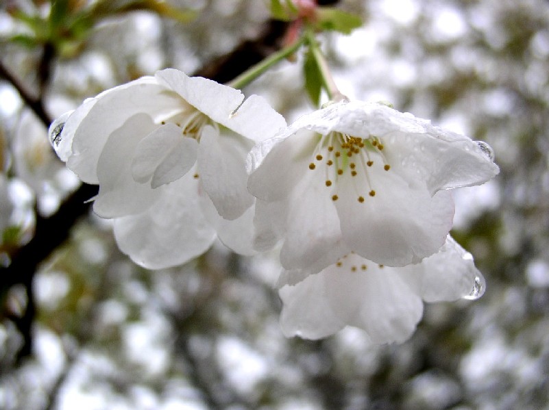 ���}�U�N�����׏�������