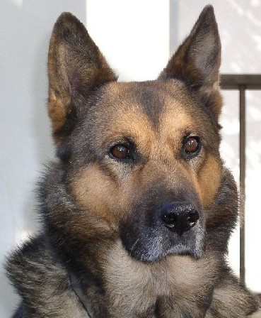 �}�[�N�i�Y16�ˁj