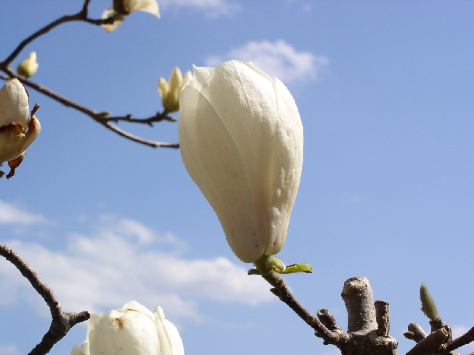 �������ᔒ��s�����