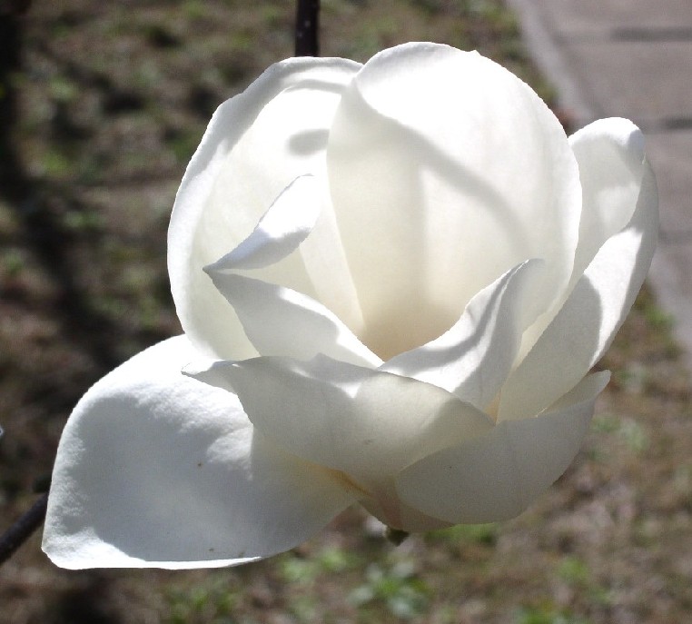 �������ᔒ��s�����