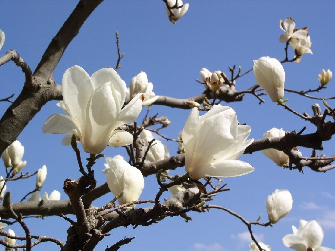 �������ᔒ��s�����